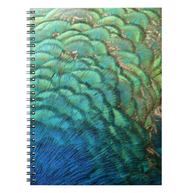 Peacock Feathers I Colorful Abstract Nature Design Notebook (Front)
