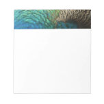 Peacock Feathers I Colorful Abstract Nature Design Notepad