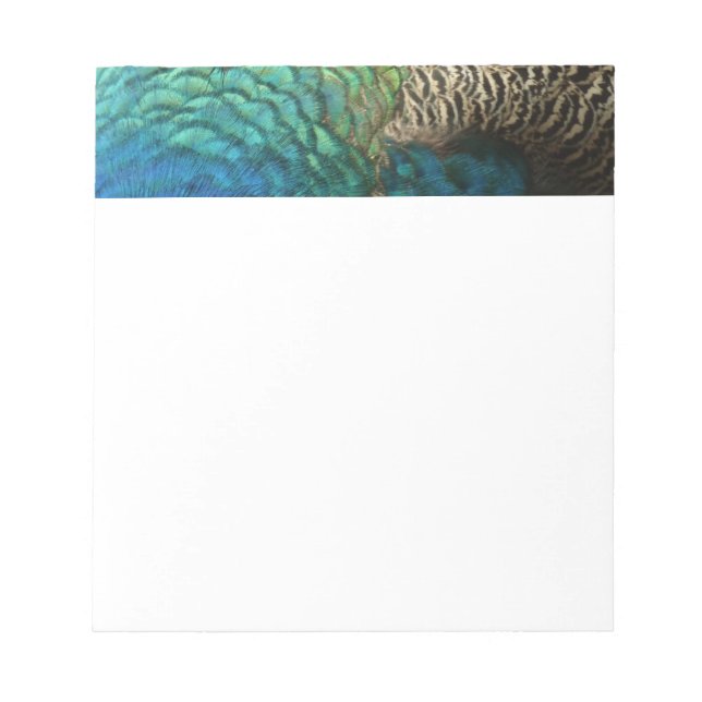 Peacock Feathers I Colorful Abstract Nature Design Notepad (Front)