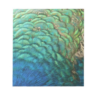 Peacock Feathers I Colorful Abstract Nature Design Notepad