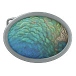 Peacock Feathers I Colorful Abstract Nature Design Oval Belt Buckle