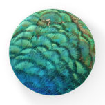 Peacock Feathers I Colorful Abstract Nature Design Paperweight