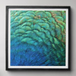 Peacock Feathers I Colorful Abstract Nature Design Peel And Stick Photo Tile