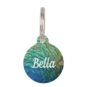 Peacock Feathers I Colorful Abstract Nature Design Pet ID Tag