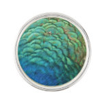 Peacock Feathers I Colorful Abstract Nature Design Pin