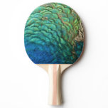 Peacock Feathers I Colorful Abstract Nature Design Ping-Pong Paddle