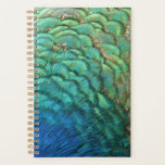 Peacock Feathers I Colorful Abstract Nature Design Planner