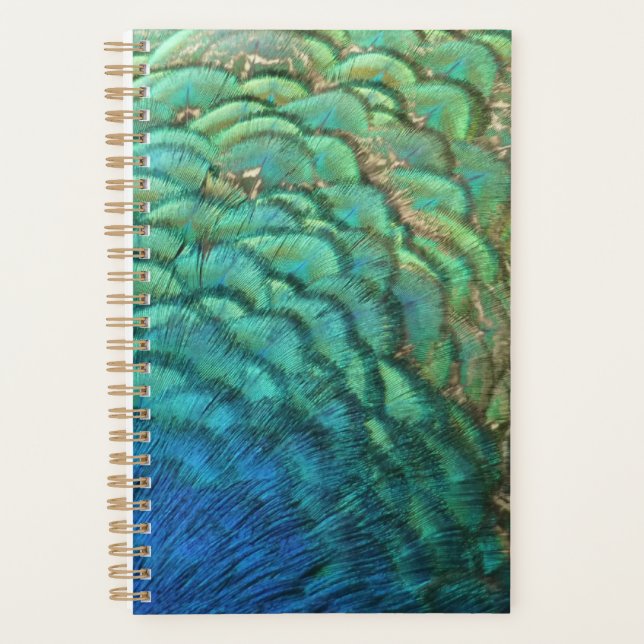 Peacock Feathers I Colorful Abstract Nature Design Planner (Front)