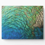 Peacock Feathers I Colorful Abstract Nature Design Plaque