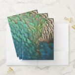 Peacock Feathers I Colorful Abstract Nature Design Pocket Folder