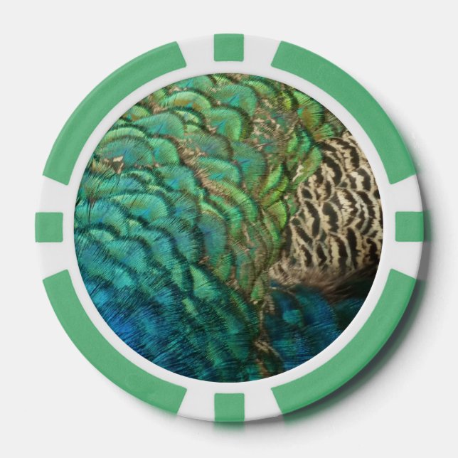 Peacock Feathers I Colorful Abstract Nature Design Poker Chips (Front)