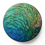 Peacock Feathers I Colorful Abstract Nature Design PopSocket