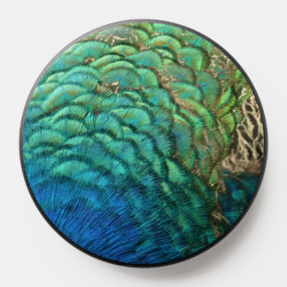 Peacock Feathers I Colorful Abstract Nature Design PopSocket