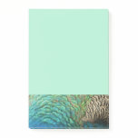 Peacock Feathers I Colorful Abstract Nature Design Post-it Notes