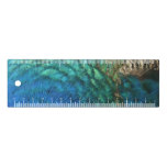 Peacock Feathers I Colorful Abstract Nature Design Ruler