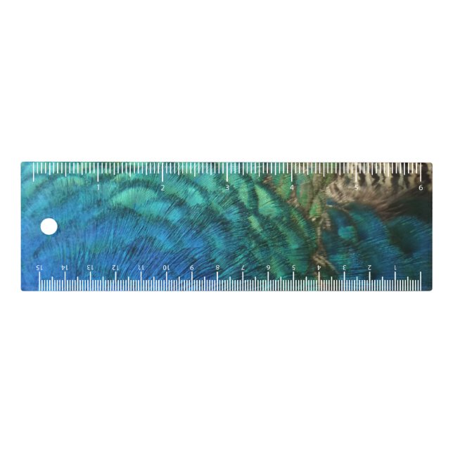 Peacock Feathers I Colorful Abstract Nature Design Ruler (Front)