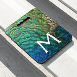 Peacock Feathers I Colorful Abstract Nature Design Seat Cushion