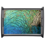 Peacock Feathers I Colorful Abstract Nature Design Serving Tray