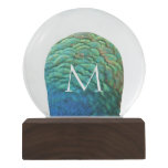 Peacock Feathers I Colorful Abstract Nature Design Snow Globe