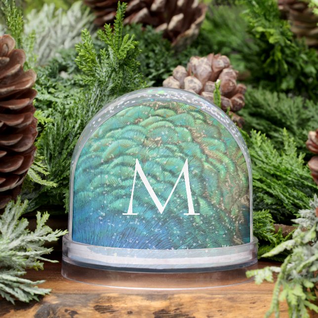 Peacock Feathers I Colorful Abstract Nature Design Snow Globe (Winter)