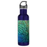 Peacock Feathers I Colorful Abstract Nature Design Stainless Steel Water Bottle