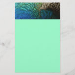 Peacock Feathers I Colorful Abstract Nature Design Stationery