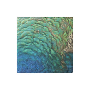 Peacock Feathers I Colorful Abstract Nature Design Stone Magnet