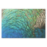 Peacock Feathers I Colorful Abstract Nature Design Tissue Paper