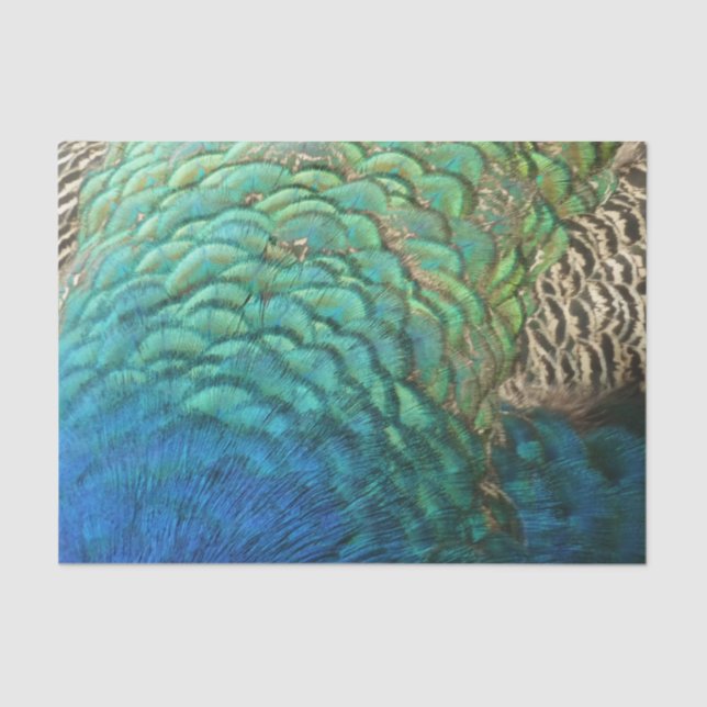 Peacock Feathers I Colorful Abstract Nature Design Tissue Paper (Front)