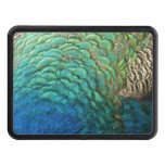 Peacock Feathers I Colorful Abstract Nature Design Tow Hitch Cover
