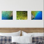 Peacock Feathers I Colorful Abstract Nature Design Wall Art Sets