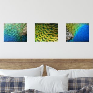 Peacock Feathers I Colorful Abstract Nature Design Wall Art Sets