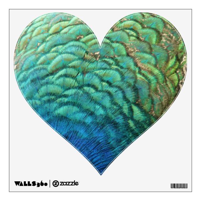 Peacock Feathers I Colorful Abstract Nature Design Wall Decal (Front)