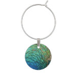 Peacock Feathers I Colorful Abstract Nature Design Wine Glass Charm