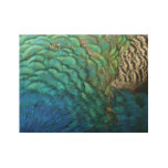 Peacock Feathers I Colorful Abstract Nature Design Wood Poster