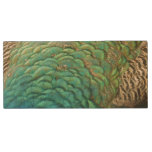 Peacock Feathers I Colorful Abstract Nature Design Wood USB Flash Drive