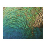 Peacock Feathers I Colorful Abstract Nature Design Wood Wall Art