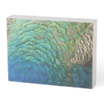 Peacock Feathers I Colorful Abstract Nature Design Wooden Box Sign