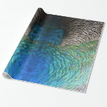 Peacock Feathers I Colorful Abstract Nature Design Wrapping Paper