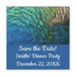 Peacock Feathers I Save the Date