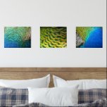 Peacock Feathers I Wall Art Sets