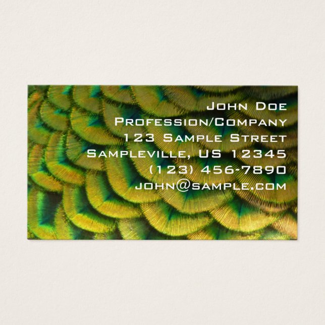 Peacock Feathers II Colorful Nature (Front)