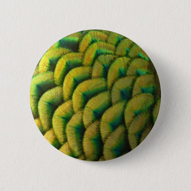 Peacock Feathers II Colorful Nature Button (Front)