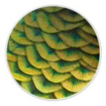 Peacock Feathers II Colorful Nature Ceramic Knob