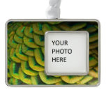 Peacock Feathers II Colorful Nature Christmas Ornament