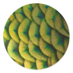 Peacock Feathers II Colorful Nature Classic Round Sticker