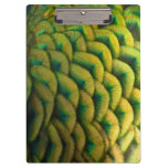 Peacock Feathers II Colorful Nature Clipboard