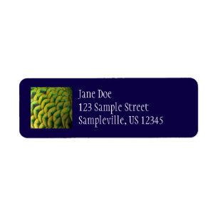 Peacock Feathers II Colorful Nature Label