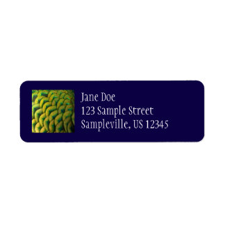 Peacock Feathers II Colorful Nature Label
