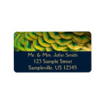 Peacock Feathers II Colorful Nature Label